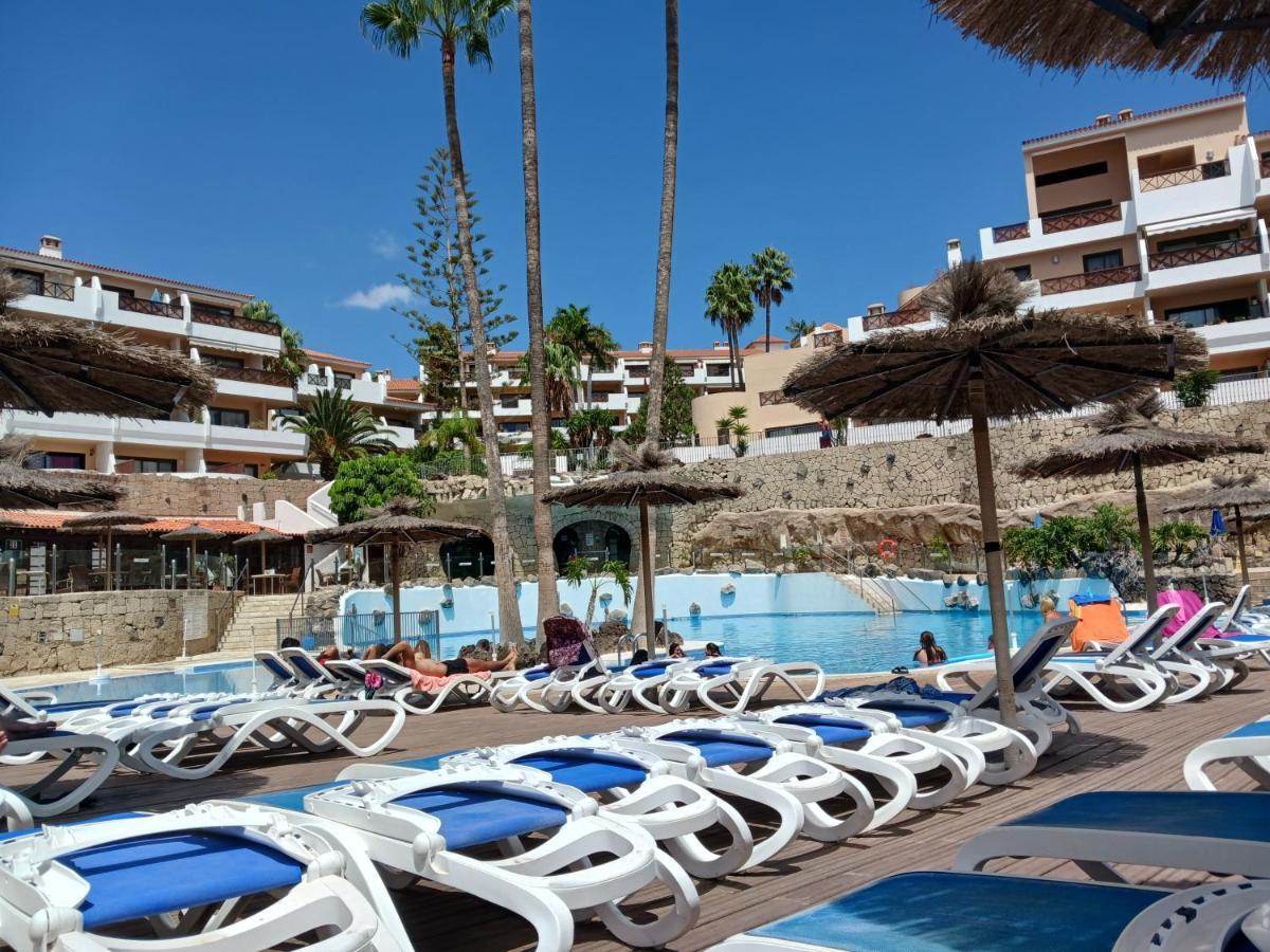 Chillout Studio Albatros In Toller Anlage Mit Pool San Miguel de Abona Exterior foto